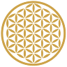 Prana Wellness