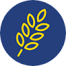 County Appraiser