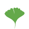 Osteopathy physiotherapy therapeutic massage practice Faulmann