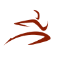 Premier Physical Therapy and Sports Performance - Cape Henlopen