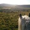 Preseli Pony Trekking at Ashvale Holiday & Riding Stables
