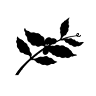 Press