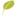 Prevea Ear, Nose and Throat