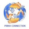 Prima Connection Co.,Ltd. พรีมา คอนเนคชั่น จำกัด
