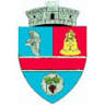 Primăria Berzovia