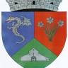 Primăria Șercaia