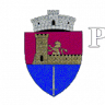 Primăria Berceni