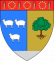 Primăria Crângu