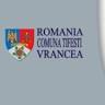 PRIMARIA TIFESTI