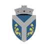 Primăria Târnava