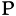 Primary Law Group