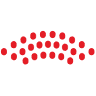 Princeton Pro Musica