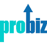 Pro Biz Services, Inc