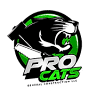 PRO CATS GENERAL CONSTRUCTION LLC