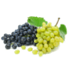 Azienda Agricola e Ristorante Casalìa