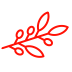 Alimentación Molina