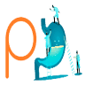 Proendomed