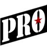 Pro Flooring LLC