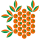 Stomatologia Proskura