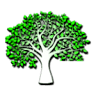 Prosperity Home Health Care, LLC