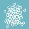 Protoplast