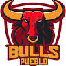 Pueblo Bulls Hockey Club Store