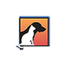 Punta Gorda Animal Hospital