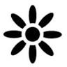 Agriturismo Puntalizzu, Appartamenti - Wines Food Homemade products - Aperto 1° maggio/30 settembre