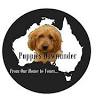 Puppies Downunder Australia (VIC)