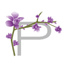 The Purple Orchid Wine Country Resort And Spa