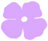 Purple Poppy