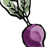 The Purple Radish