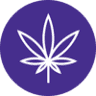 Purple Rose CFO