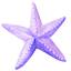 Purple Starfish
