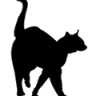 The Pussycat Club