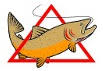Pyramid Lake Anglers