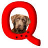 Q-ties