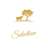 QUERCETA Negozio/produzione