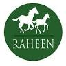 Raheen Stud