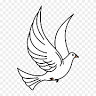 The Rainbow & Dove