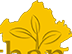 Rajasthan leafes