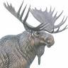 Raleigh Family Moose Center