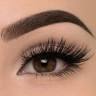 Rani's brow & eyelash lounge