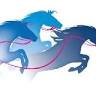 LES RAPID'BLEUS