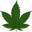 HäädPoint-Rostock | Head & Growshop | CBD & HHC Blüten Shop