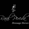 Raúl Pereda Dressage Horses