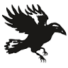 Raven Edelstahlschmuck e. U.