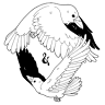 Raven & Crow Co. LLC