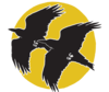 Raven Studios