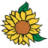 Razzle Dazzle® Flowers & Gifts